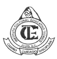 INSTITUTO CULTURAL EDUCATIVO TÉCNICO ELVIS