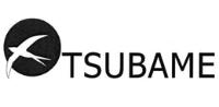 TSUBAME