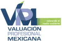 VPM VALUACION PROFESIONAL MEXICANA