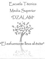 ESCUELA TECNICA MEDIA SUPERIOR 