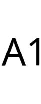 A1