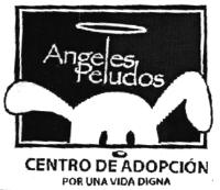 ANGELES PELUDOS; CENTRO DE ADOPCION; POR UNA VIDA DIGNA