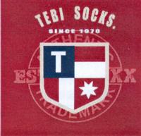 TEBI SOCKS SINCE 1970