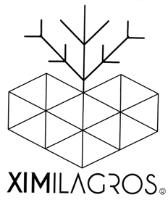XI MILAGROS