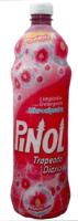 PINOL TRAPEADO DIARIO