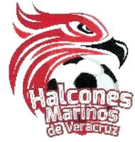 HALCONES MARINOS DE VERACRUZ