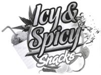 ICY & SPICY