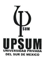UPSUM UNIVERSIDAD PRIVADA DEL SUR DE MEXICO