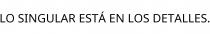 LO SINGULAR ESTÁ EN LOS DETALLES.