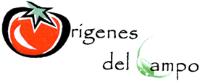 ORIGENES DEL CAMPO