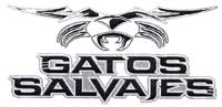 GATOS SALVAJES