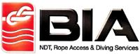 BIA SERVICIOS DE TRABAJO SOBRE ALTURAS Y BUCEO