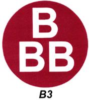 B B B B3