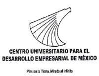 CENTRO UNIVERSITARIO PARA EL DESARROLO EMPRESARIAL DE MEXICO PIES EN LA TIERRA MIRADA AL INFINITO