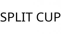 SPLIT CUP