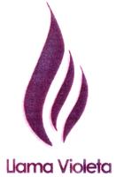 LLAMA VIOLETA