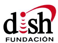 FUNDACION DISH