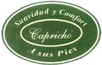 CAPRICHO SUAVIDAD Y COMFORT A SUS PIES
