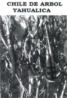 CHILE DE ARBOL YAHUALICA