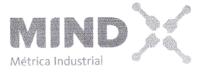 MIND MÉTRICA INDUSTRIAL