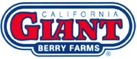 GIANT BERRY FARMS