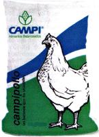 CAMPIPOLLO; UN BALANCE QUE DA UTILIDADES.