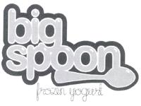 BIG SPOON