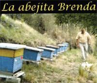 LA ABEJITA BRENDA