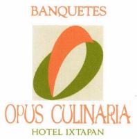 OPUS CULINARIA HOTEL IXTAPAN