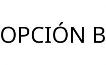OPCIÓN B