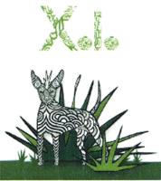 XOLO