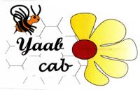 YAAB CAB
