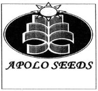 APOLO SEEDS