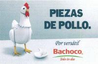 PIEZAS DE POLLO. POR VERSATIL BACHOCO TODOS LOS DIAS