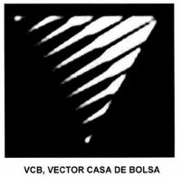 VCB; VECTOR CASA DE BOLSA