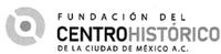 FUNDACIÓN DEL CENTRO HISTÓRICO DE LA CIUDAD DE MÉXICO; A.C.