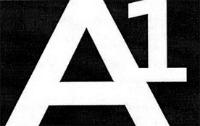 A1
