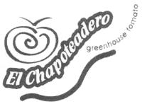 EL CHAPOTEADERO GREENHOUSE TOMATO