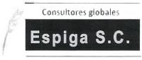 CONSULTORES GLOBALES ESPIGA S.C.