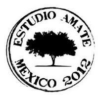 ESTUDIO AMATE