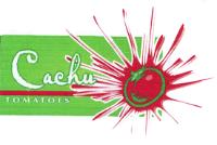 CACHU TOMATOES