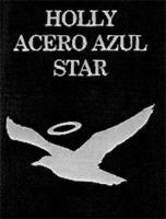 HOLLY ACERO AZUL STAR