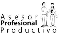 ASESOR PROFESIONAL PRODUCTIVO