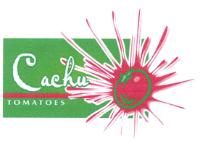 CACHU TOMATOES