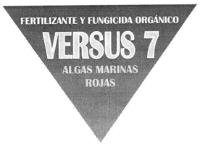 VERSUS 7