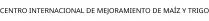 CENTRO INTERNACIONAL DE MEJORAMIENTO DE MAÍZ Y TRIGO