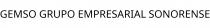 GEMSO GRUPO EMPRESARIAL SONORENSE