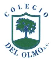 COLEGIO DEL OLMO