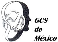 GCS DE MEXICO
