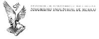 SIM SEGURIDAD INDUSTRIAL DE MEXICO